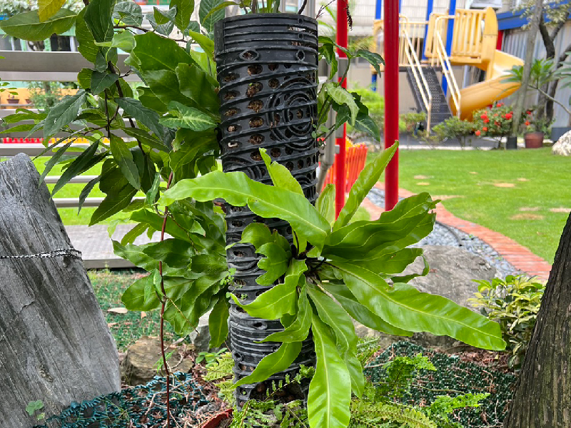 モススティック(4")